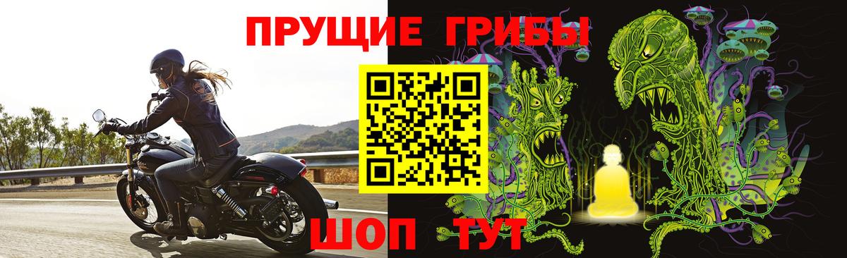 Псилоцибиновые грибы Magic Shrooms Кудымкар